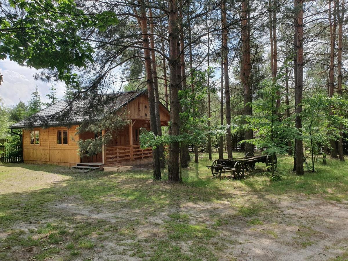 Willa Roztocze U Aleksa Susiec - Jacuzii , Goraca Balia!!! Zewnętrze zdjęcie